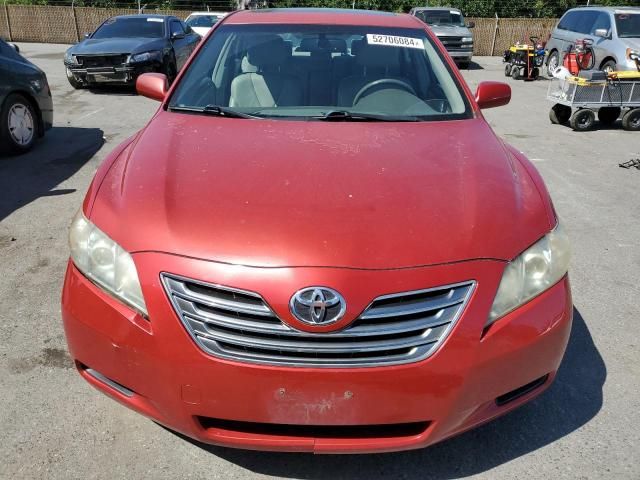 2009 Toyota Camry Hybrid