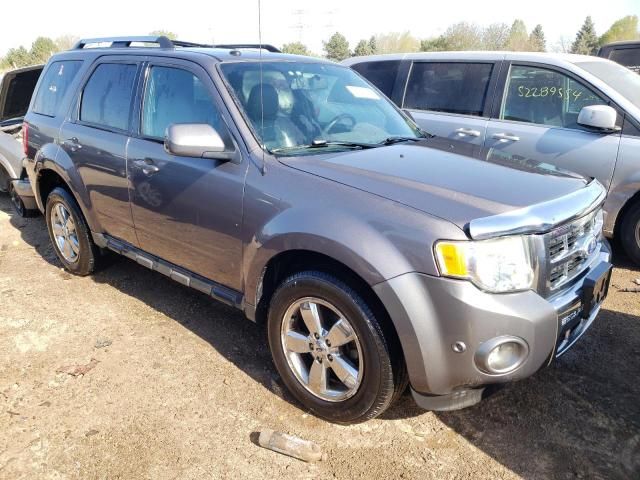 2010 Ford Escape Limited