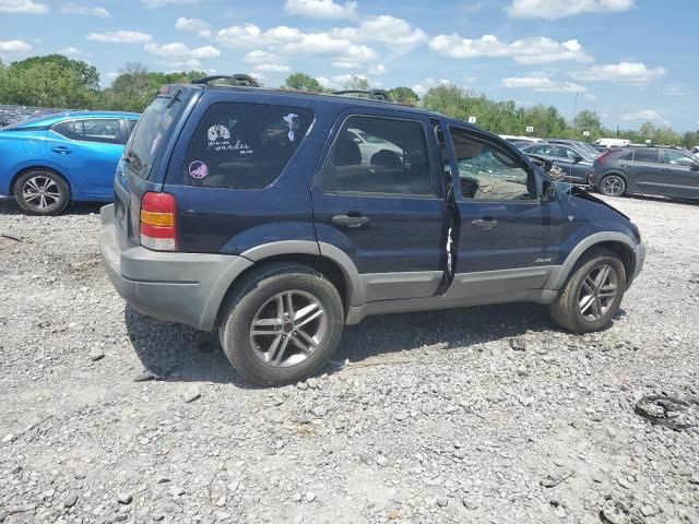 2002 Ford Escape XLT