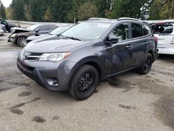 Salvage cars for sale at Arlington, WA auction: 2014 Toyota Rav4 LE