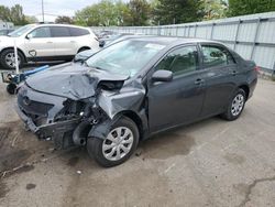 Salvage cars for sale from Copart Moraine, OH: 2010 Toyota Corolla Base