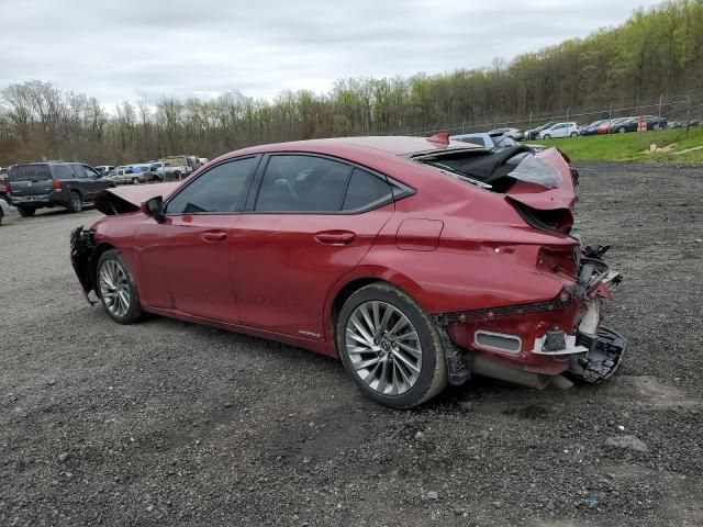 2021 Lexus ES 300H Luxury