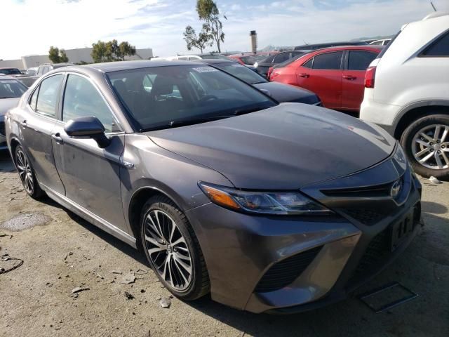 2019 Toyota Camry Hybrid