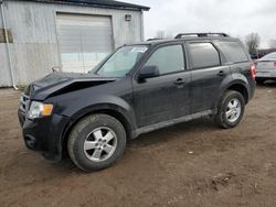 Vehiculos salvage en venta de Copart Davison, MI: 2011 Ford Escape XLT