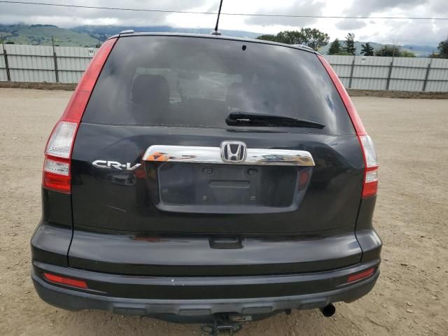 2010 Honda CR-V EXL