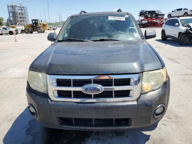 2009 Ford Escape XLT