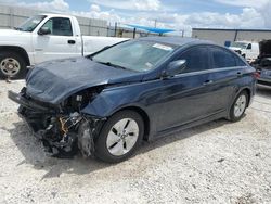 Salvage cars for sale at Arcadia, FL auction: 2014 Hyundai Sonata GLS