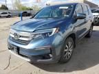 2019 Honda Pilot EXL