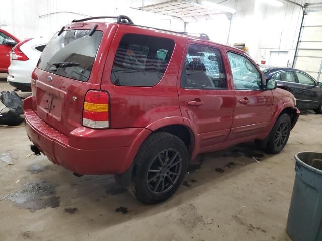 2005 Ford Escape Limited