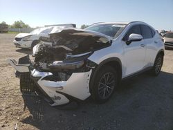 Salvage cars for sale at Houston, TX auction: 2024 Lexus NX 250 Premium