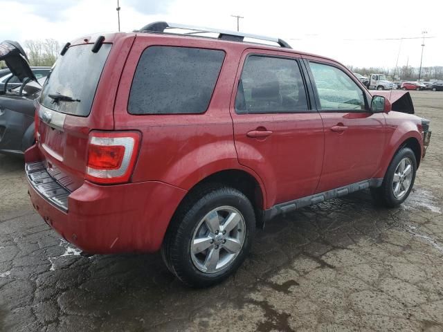 2010 Ford Escape Limited