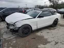 Salvage cars for sale from Copart Lexington, KY: 2012 Ford Mustang