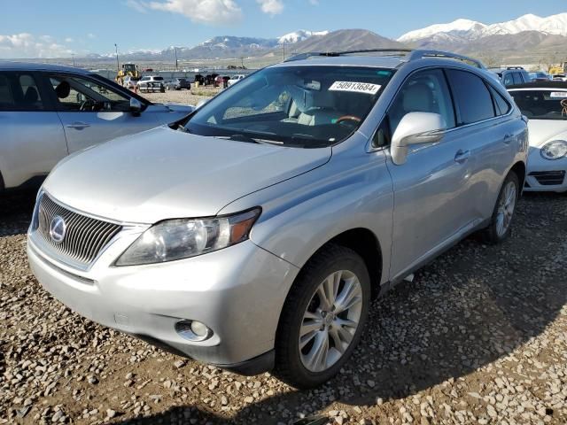 2010 Lexus RX 450