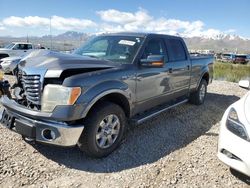 Ford salvage cars for sale: 2013 Ford F150 Supercrew