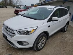 Salvage cars for sale at Cahokia Heights, IL auction: 2019 Ford Escape SEL