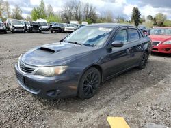 Subaru WRX salvage cars for sale: 2008 Subaru Impreza WRX