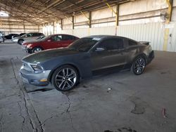 Salvage cars for sale from Copart Phoenix, AZ: 2011 Ford Mustang
