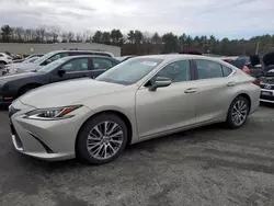 Salvage cars for sale at Exeter, RI auction: 2019 Lexus ES 350