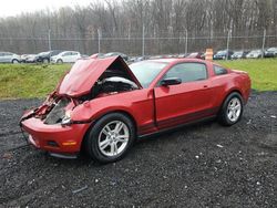 Salvage cars for sale from Copart Finksburg, MD: 2012 Ford Mustang