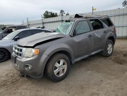 Salvage cars for sale at Harleyville, SC auction: 2012 Ford Escape XLT