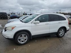 Salvage cars for sale at Indianapolis, IN auction: 2011 Honda CR-V EX
