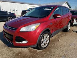 Vehiculos salvage en venta de Copart Pekin, IL: 2013 Ford Escape SEL