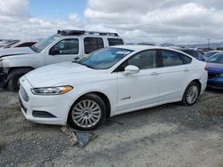 Salvage cars for sale at San Diego, CA auction: 2014 Ford Fusion SE Hybrid