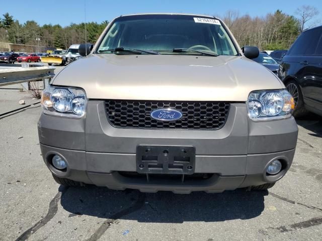 2007 Ford Escape XLT