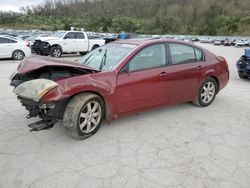Salvage cars for sale from Copart Hurricane, WV: 2004 Nissan Maxima SE