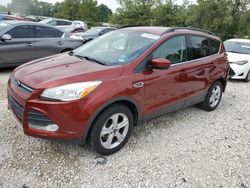 Ford Escape SE Vehiculos salvage en venta: 2014 Ford Escape SE