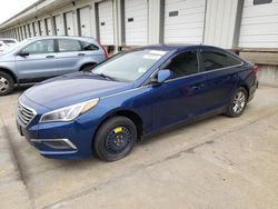 Salvage cars for sale at Louisville, KY auction: 2017 Hyundai Sonata SE
