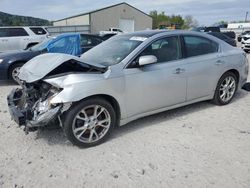 2014 Nissan Maxima S en venta en Lawrenceburg, KY