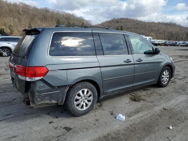 2008 Honda Odyssey EXL