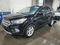 Salvage cars for sale from Copart Ham Lake, MN: 2017 Ford Escape SE