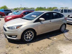 Salvage cars for sale from Copart Louisville, KY: 2015 Ford Focus SE