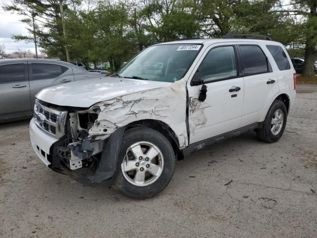 2009 Ford Escape XLT