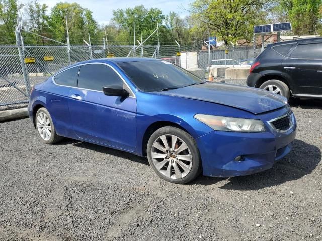 2008 Honda Accord EXL