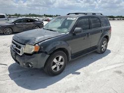 Salvage cars for sale from Copart Arcadia, FL: 2009 Ford Escape XLT