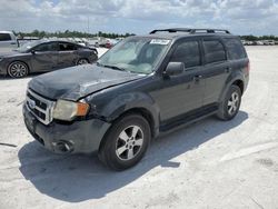 Ford salvage cars for sale: 2009 Ford Escape XLT