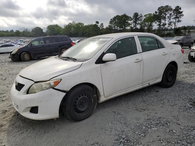 2010 Toyota Corolla Base