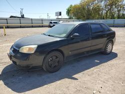 Chevrolet salvage cars for sale: 2006 Chevrolet Malibu Maxx LT