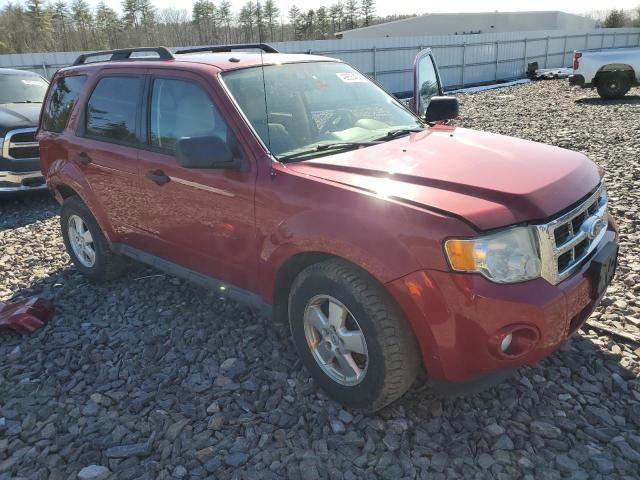 2011 Ford Escape XLT