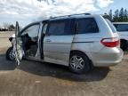 2006 Honda Odyssey EX