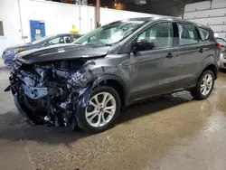 Salvage cars for sale from Copart Blaine, MN: 2019 Ford Escape S