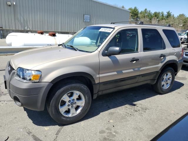 2007 Ford Escape XLT