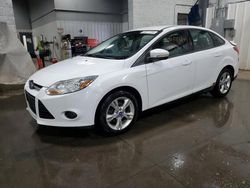 Vehiculos salvage en venta de Copart Ham Lake, MN: 2013 Ford Focus SE