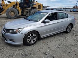 Honda Accord lx salvage cars for sale: 2013 Honda Accord LX