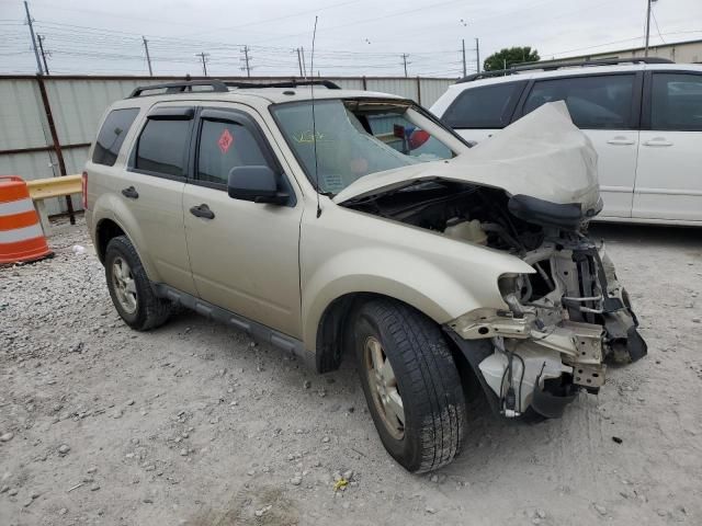 2010 Ford Escape XLT