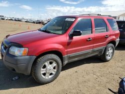 2004 Ford Escape XLT for sale in Brighton, CO