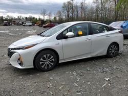 Salvage cars for sale at Waldorf, MD auction: 2022 Toyota Prius Prime LE